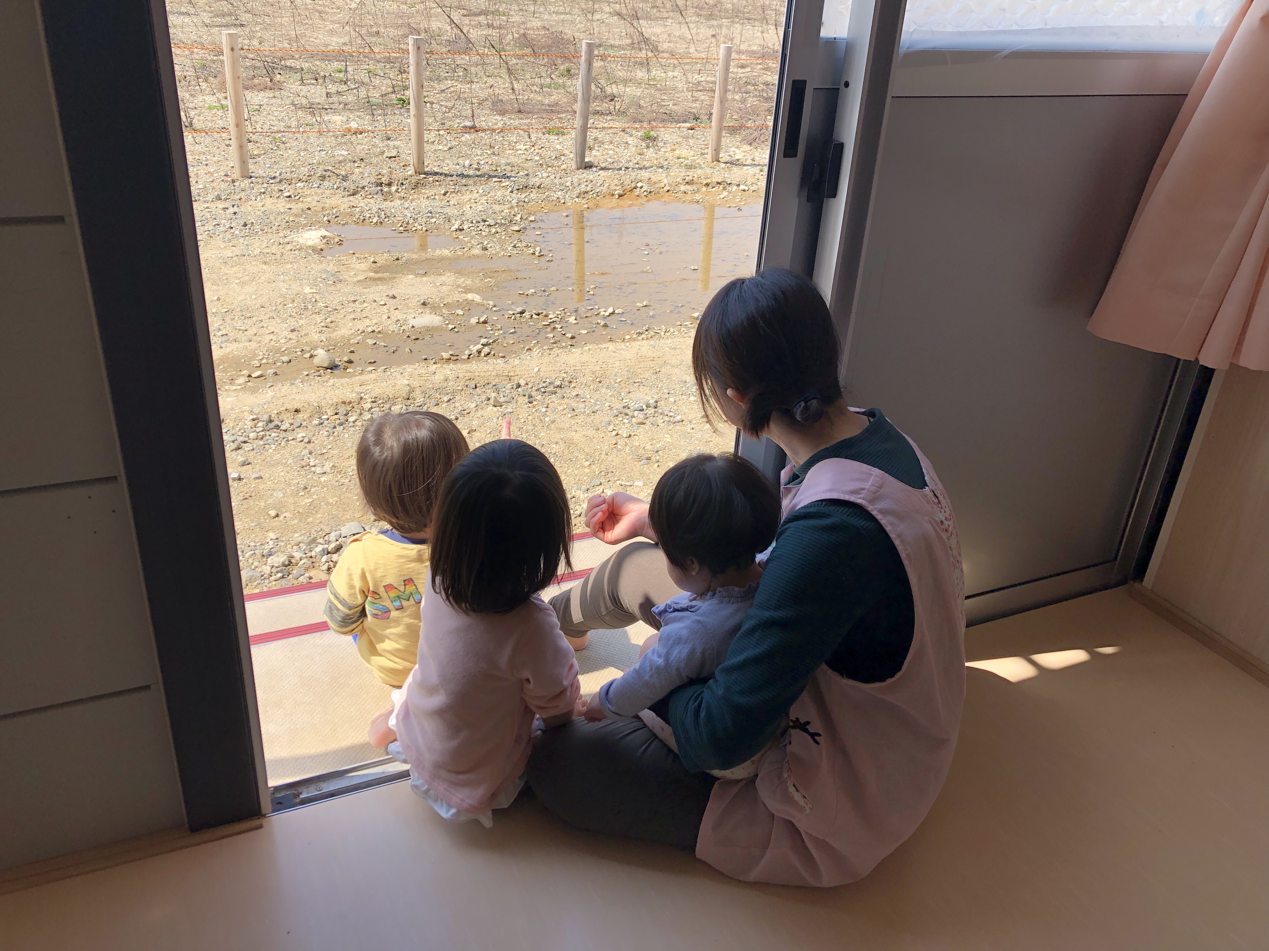 つくし見つけたよ