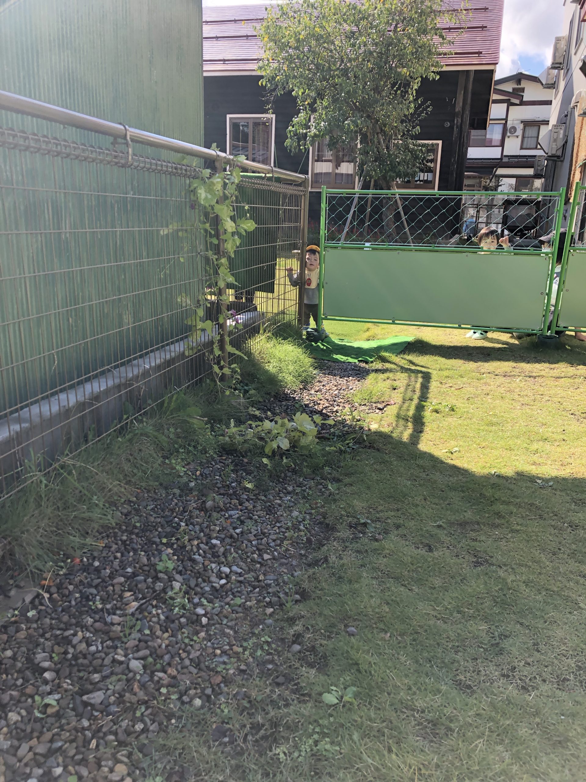 なにをしてるの？