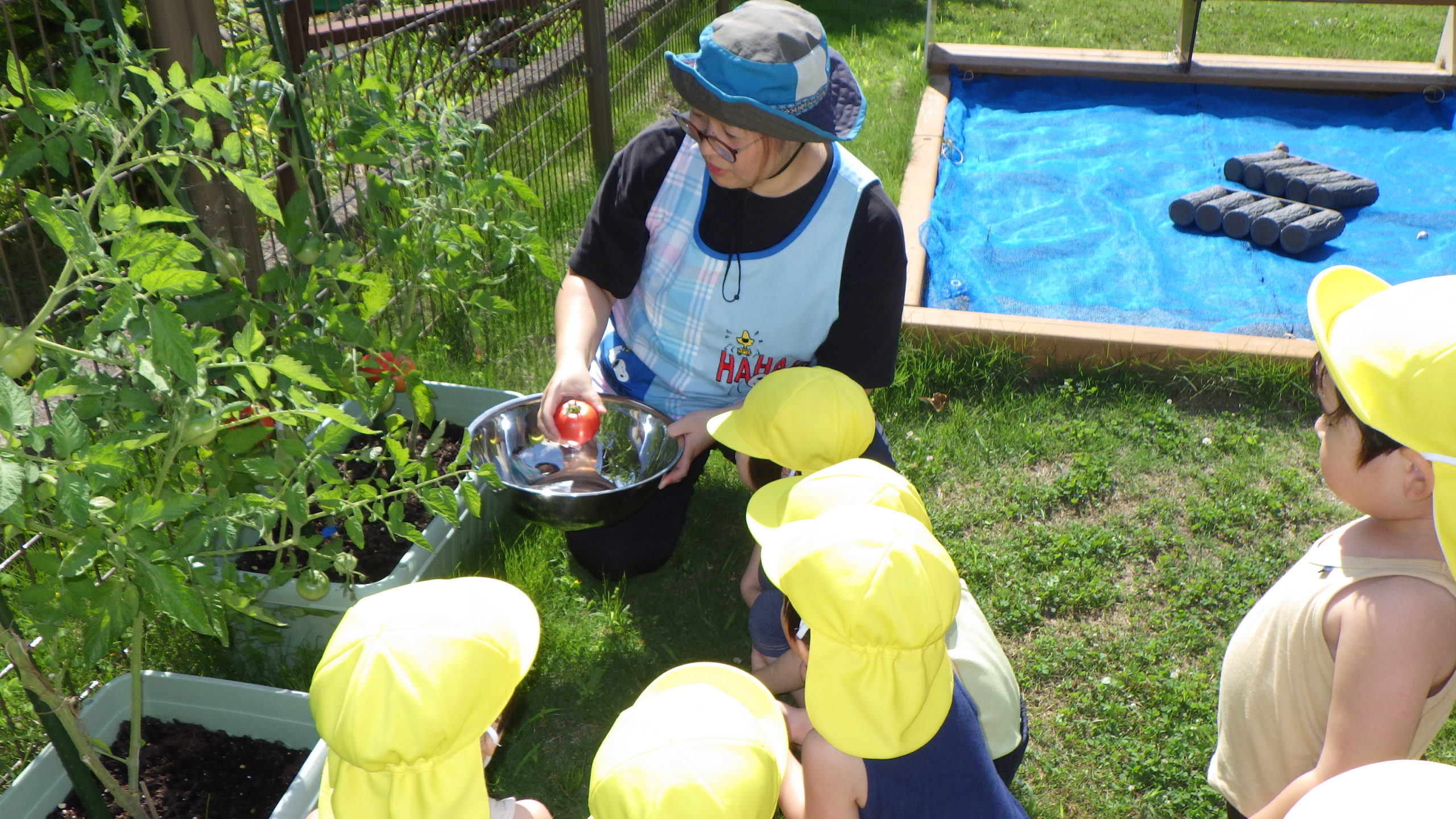 赤くなったよ！