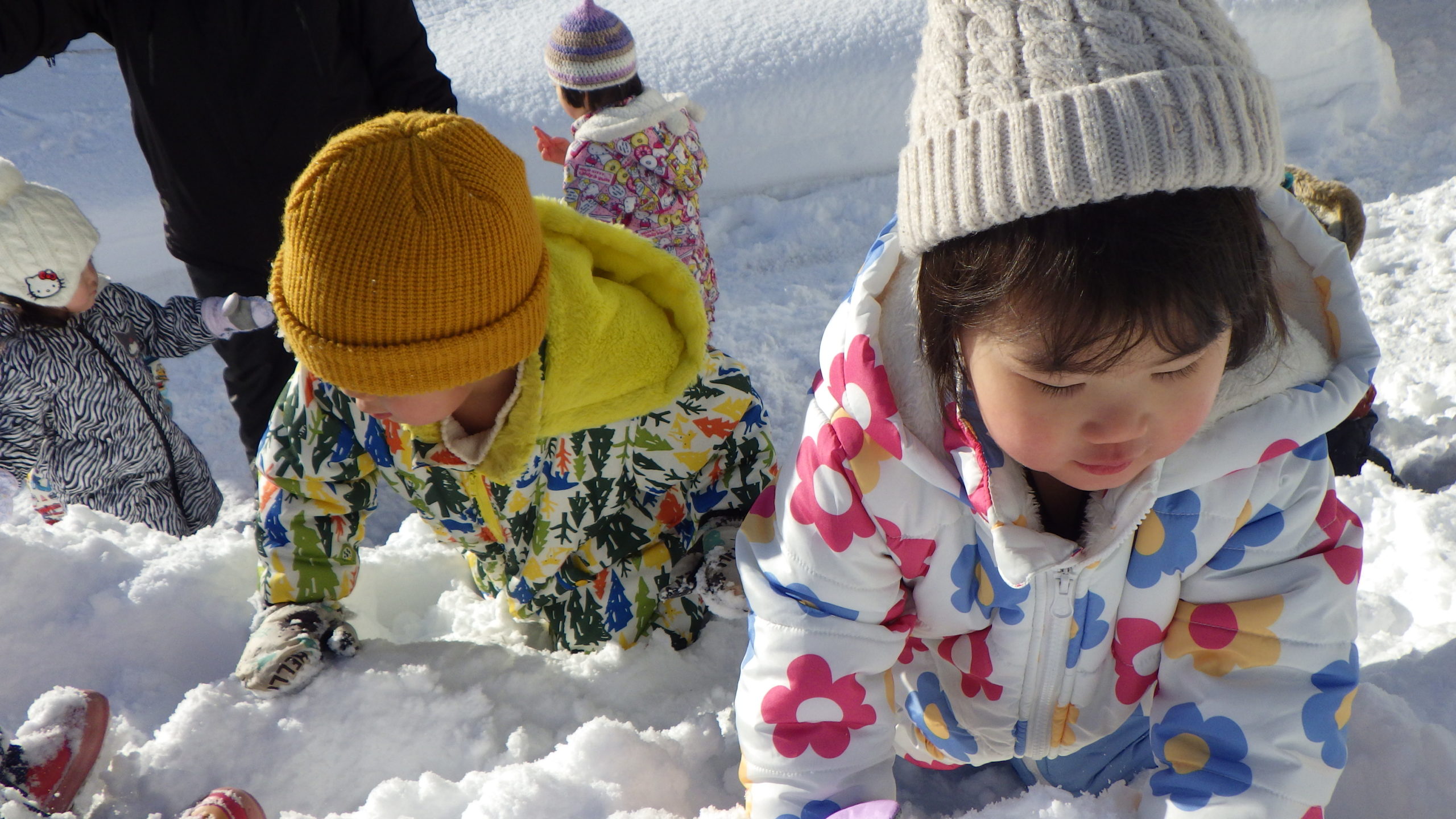 子どもの様子（未満児）